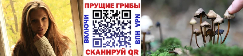 Псилоцибиновые грибы Magic Shrooms  Оренбург 